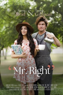 Watch Free Mr. Right HD Online on SFlix