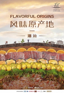 Watch Free Flavorful Origins HD Online on SFlix