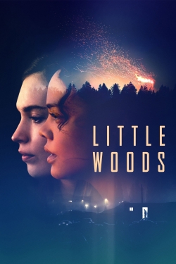 Watch Free Little Woods HD Online on SFlix