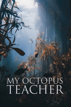 Watch Free My Octopus Teacher HD Online on SFlix