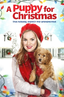 Watch Free A Puppy for Christmas HD Online on SFlix