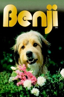 Watch Free Benji HD Online on SFlix