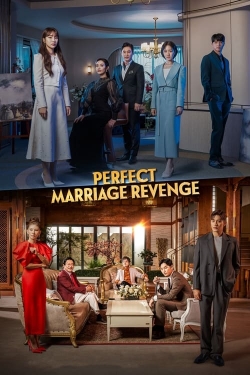 Watch Free Perfect Marriage Revenge HD Online on SFlix