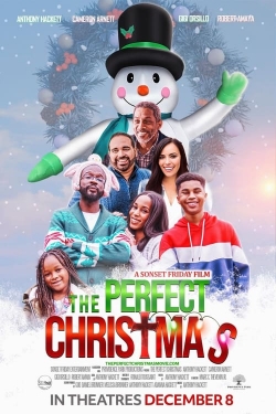 Watch Free The Perfect Christmas HD Online on SFlix