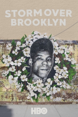 Watch Free Yusuf Hawkins: Storm Over Brooklyn HD Online on SFlix