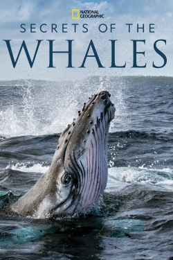 Watch Free Secrets of the Whales HD Online on SFlix