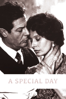 Watch Free A Special Day HD Online on SFlix