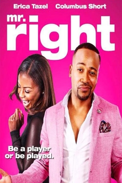 Watch Free Mr. Right HD Online on SFlix