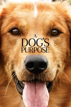 Watch Free A Dog's Purpose HD Online on SFlix