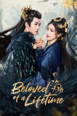 Watch Free Beloved of A Lifetime HD Online on SFlix