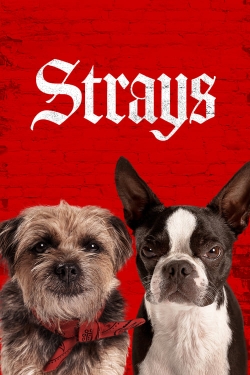 Watch Free Strays HD Online on SFlix