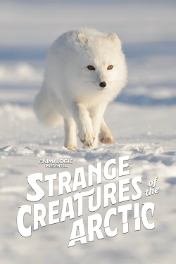 Watch Free Strange Creatures of the Arctic HD Online on SFlix