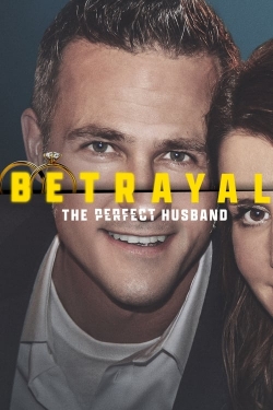 Watch Free Betrayal: The Perfect Husband HD Online on SFlix