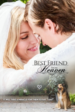 Watch Free Best Friend from Heaven HD Online on SFlix