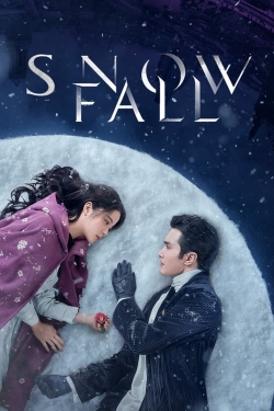 Watch Free Snowfall HD Online on SFlix