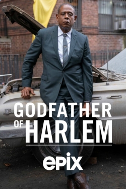 Watch Free Godfather of Harlem HD Online on SFlix