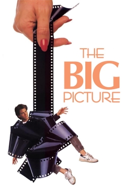 Watch Free The Big Picture HD Online on SFlix