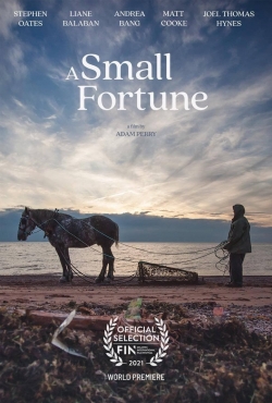 Watch Free A Small Fortune HD Online on SFlix