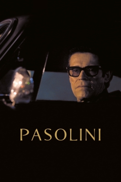 Watch Free Pasolini HD Online on SFlix