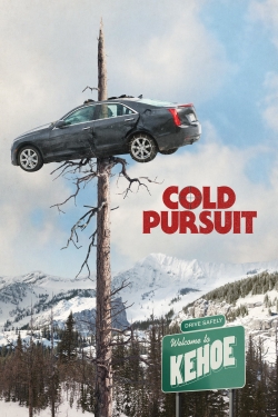 Watch Free Cold Pursuit HD Online on SFlix