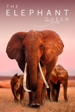 Watch Free The Elephant Queen HD Online on SFlix