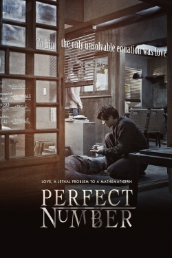 Watch Free Perfect Number HD Online on SFlix