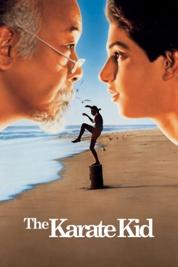 Watch Free The Karate Kid HD Online on SFlix