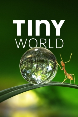 Watch Free Tiny World HD Online on SFlix