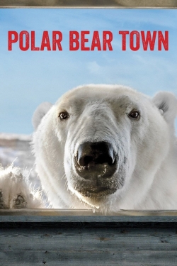 Watch Free Polar Bear Town HD Online on SFlix