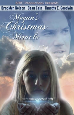 Watch Free Megan's Christmas Miracle HD Online on SFlix