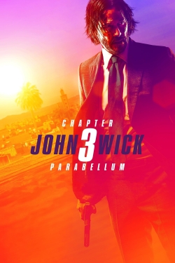 Watch Free John Wick: Chapter 3 – Parabellum HD Online on SFlix