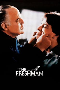 Watch Free The Freshman HD Online on SFlix