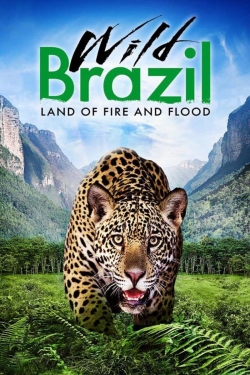 Watch Free Wild Brazil HD Online on SFlix