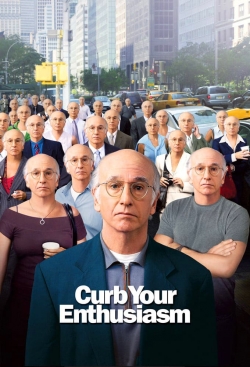 Watch Free Larry David: Curb Your Enthusiasm HD Online on SFlix