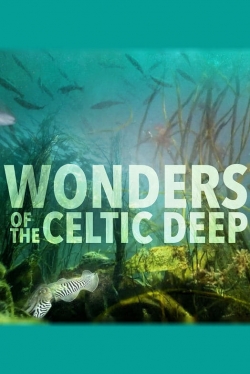 Watch Free Wonders of the Celtic Deep HD Online on SFlix