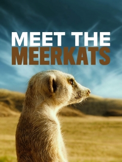 Watch Free Meet The Meerkats HD Online on SFlix