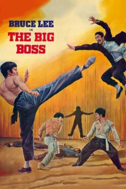 Watch Free The Big Boss HD Online on SFlix