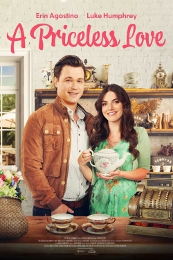 Watch Free A Priceless Love HD Online on SFlix