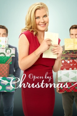 Watch Free Open by Christmas HD Online on SFlix